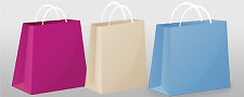 ecommerce shopping bags