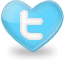 twitter icon